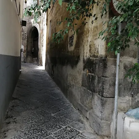 Casa Caro Bilo Mediterraneo In Centro *